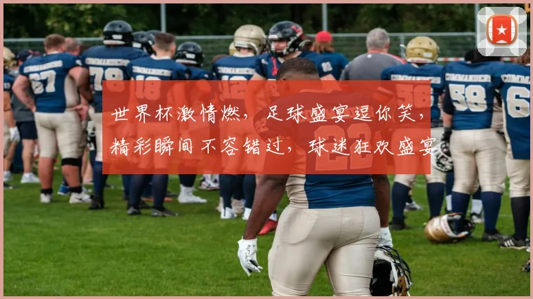 世界杯激情燃，足球盛宴逗你笑，精彩瞬间不容错过，球迷狂欢盛宴