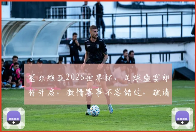 塞尔维亚2026世界杯，足球盛宴即将开启，激情赛事不容错过，敬请期待
