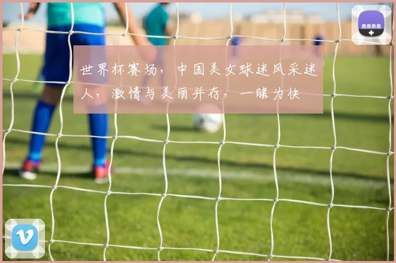 世界杯赛场，中国美女球迷风采迷人，激情与美丽并存，一睹为快
