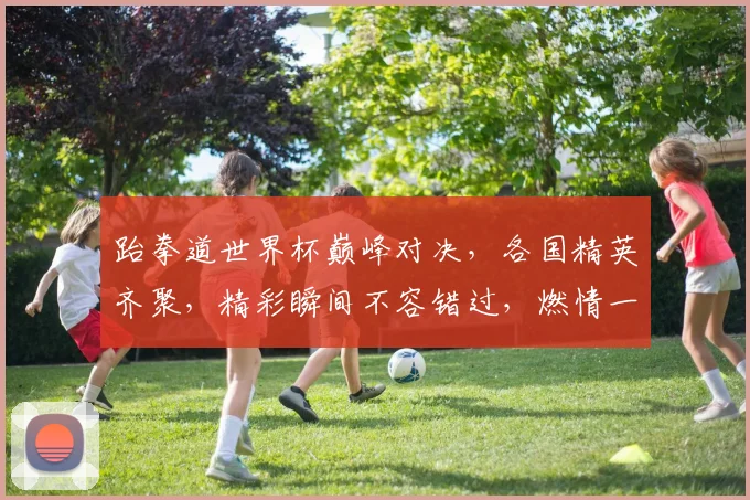跆拳道世界杯巅峰对决，各国精英齐聚，精彩瞬间不容错过，燃情一触即发