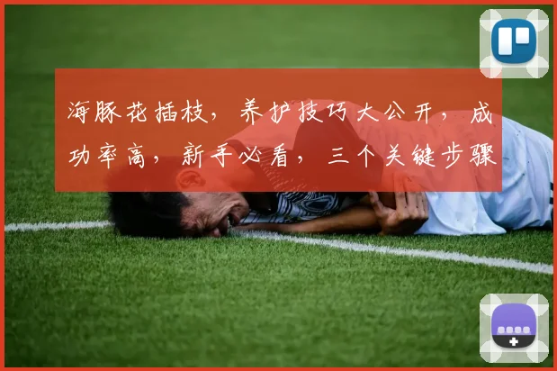 海豚花插枝，养护技巧大公开，成功率高，新手必看，三个关键步骤，轻松掌握