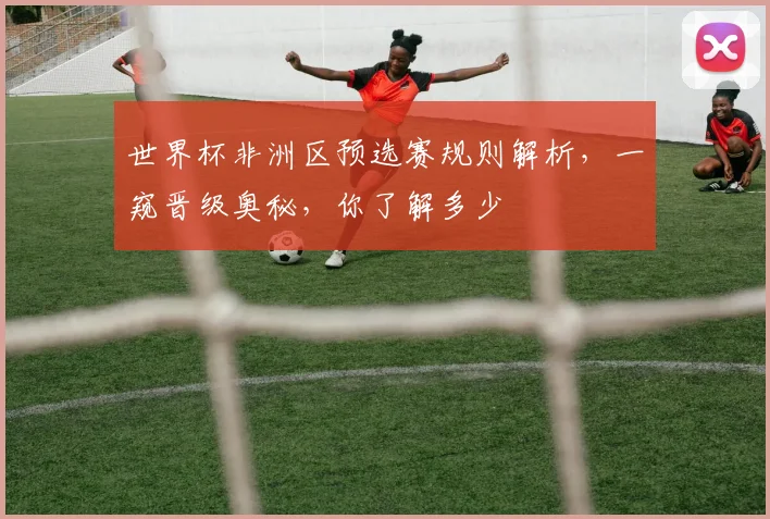 世界杯非洲区预选赛规则解析，一窥晋级奥秘，你了解多少