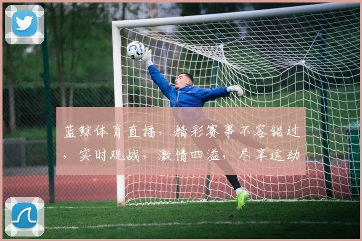 蓝鲸体育直播，精彩赛事不容错过，实时观战，激情四溢，尽享运动盛宴，三重福利等你来